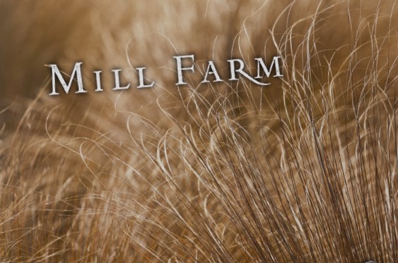 Millbrook Mill Farm Book Thumb